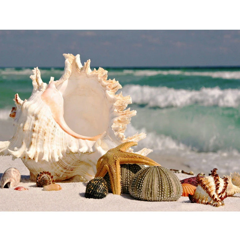 

Full Square Diamond 5D DIY Diamond Painting "sea Shell starfish scenery" 3D Embroidery Cross Stitch Mosaic Decor D1783