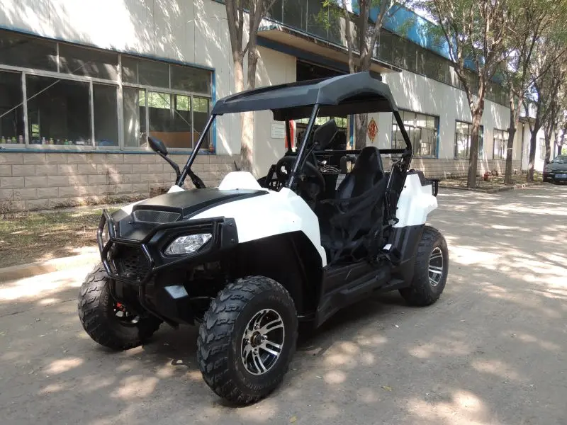 

Smart Beach Buggy Beautiful UTV Model AOS200