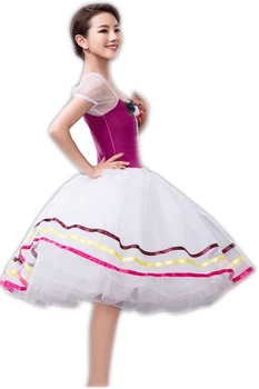 

Dancewear Ballet Tutu Dress For Kids Children Professional Purple Dance Costume