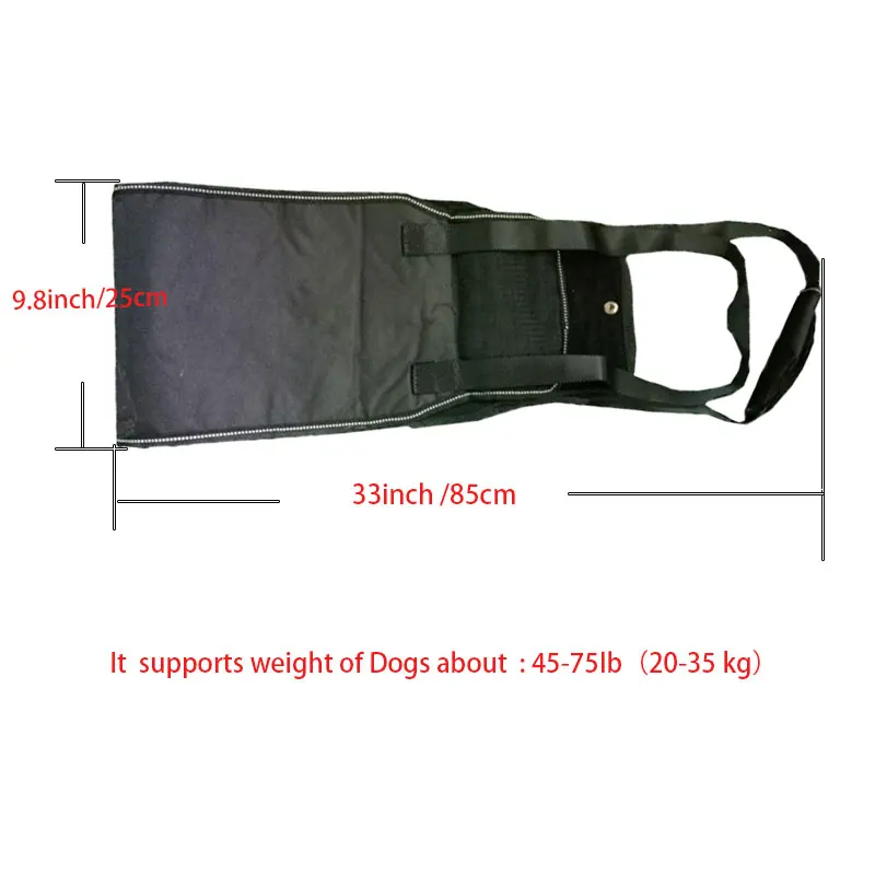 Lifting Older K9  Young Puppies with handle for Weak hind legs  Joints surgery (2)