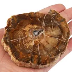 TUMBEELLUWA натуральное окаменелое дерево срез камня подставка для кружки, полированный неправильной формы камень домашний декор 3,3 "-4,7"