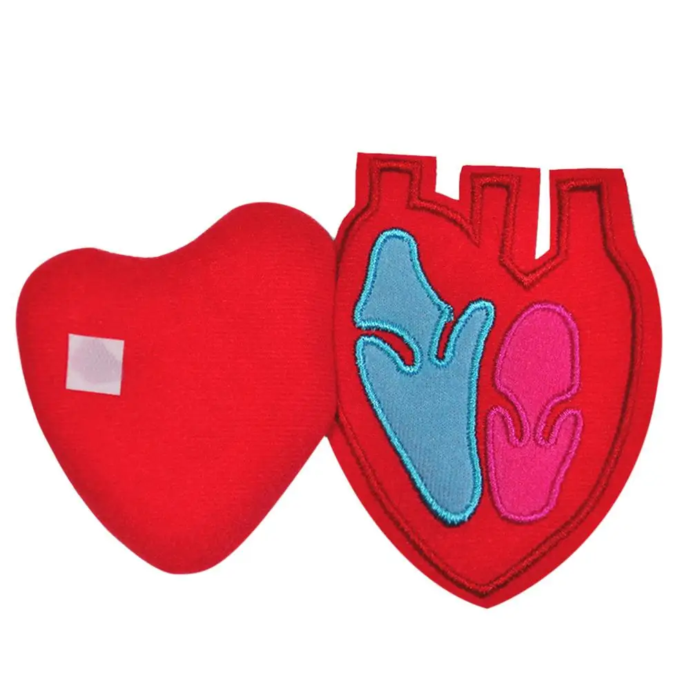  Educational Insights Toys For Children Anatomy Apron Human Body Organs Awareness Preschool Science  - 33042240318
