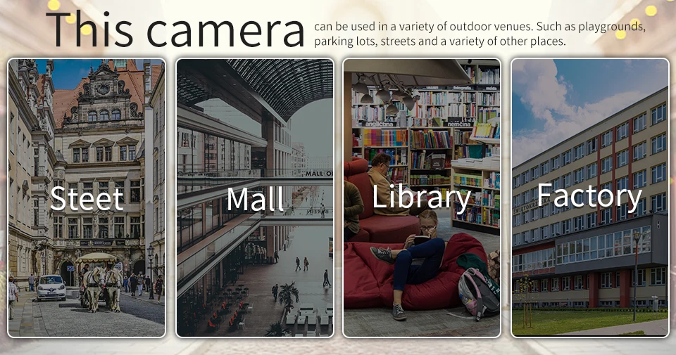 05 IP camera 1.3MP