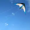 Outdoor Fun Sports 48 /72 Inch  Dual Line Stunt Kites For Adults Pwoer Kite With Handle And Line Good Flying 5