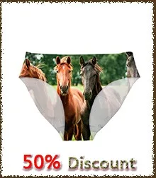 crazy horse