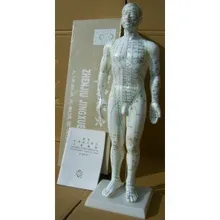

50CM English human acupuncture meridian points model male or female acupoint model with user manual free shipping