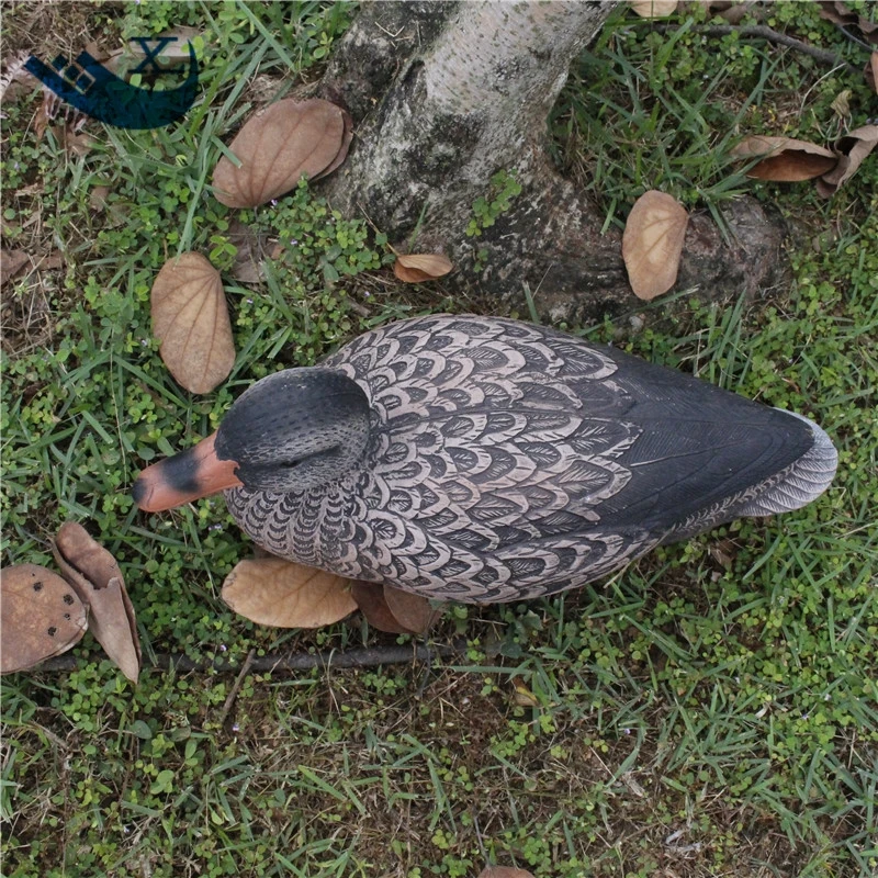 

Xilei Direct Sell Plastic Decoys Hunting Female Duck Decoys