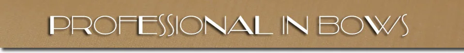 violin parts accessories