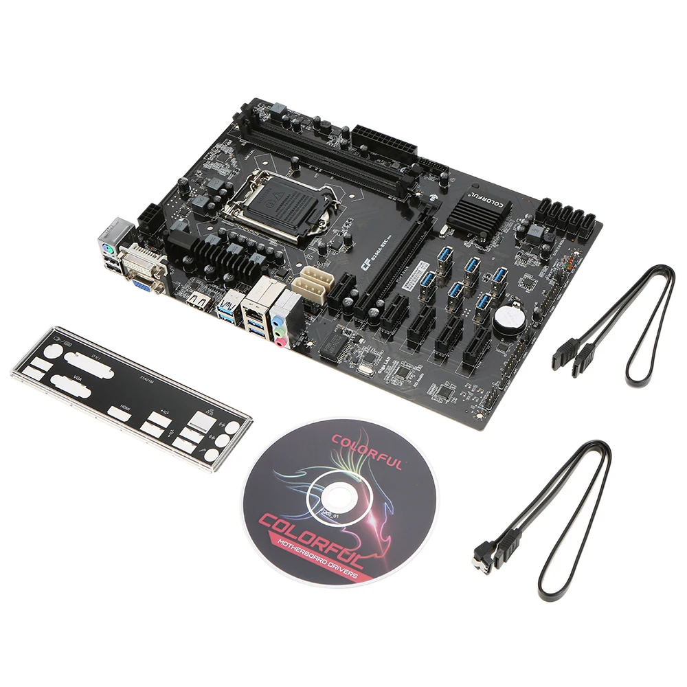 C4475-1-3956-mjgI