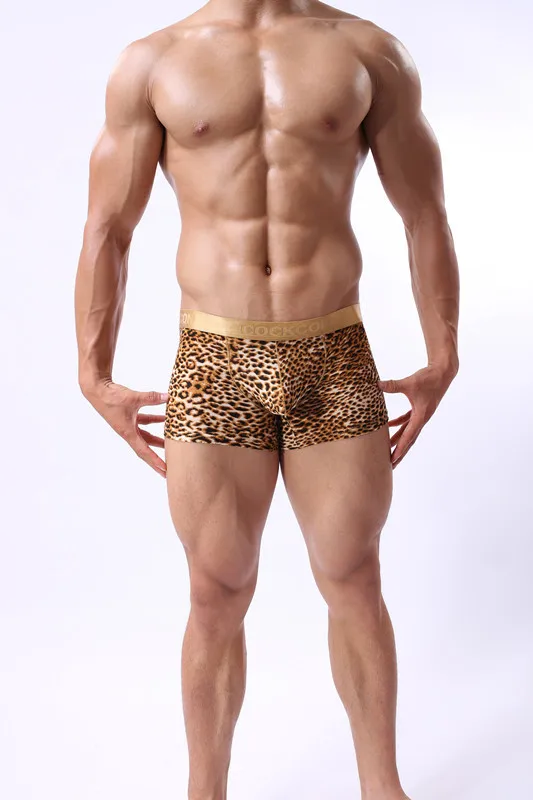 CN-BW04 полупрозрачные мужчины белье дышащие Low-Rise Boxer Leopard белье U выступающие мешочек - Цвет: BW4 boxer