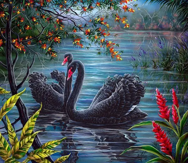 80d4d1cdb437a9add7fef1a41b9612fe--swan-song-black-swan