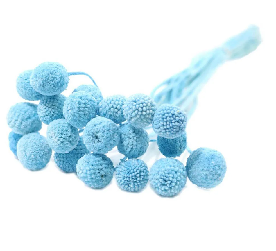 ()-blue