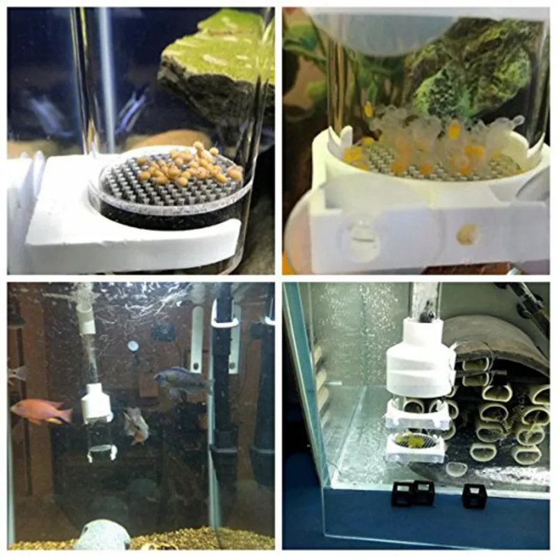 Аквариум прочный Рыба Яйцо инкубатор стакан аквариум рыбоводство вместо рот заводчик аквариума