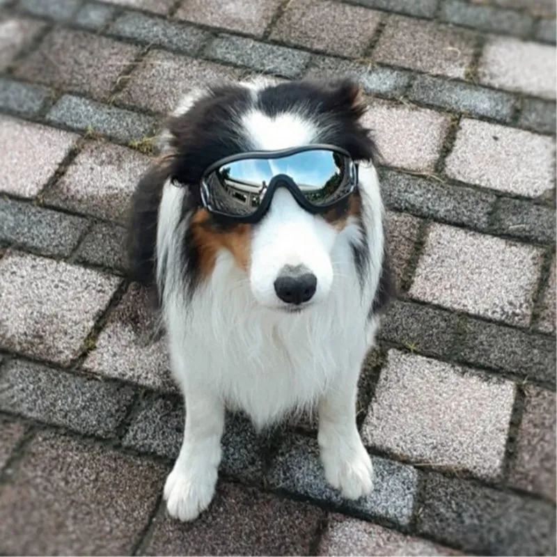УФ-очки для домашних собак, солнцезащитные очки для плавания, лыжные очки, водонепроницаемые ветрозащитные очки, модные солнцезащитные очки для маленьких собак