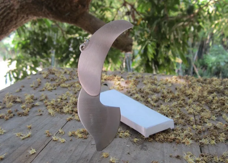 2068838209_742635196