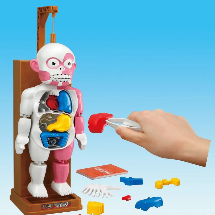 ノベルティ教育ホラー組み立てパズルのおもちゃでは音のホラー悲鳴4d人体モデルシミュレーション内臓パズル Novelty Toys Horror Toytoys Novelties Aliexpress ノベルティ教育ホラー組み立てパズルのおもちゃでは音のホラー悲鳴4d人体モデルシミュレーション内臓パズル Novelty Toys Horror Toytoys Novelties Aliexpress