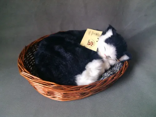sleeping cat in basket toy
