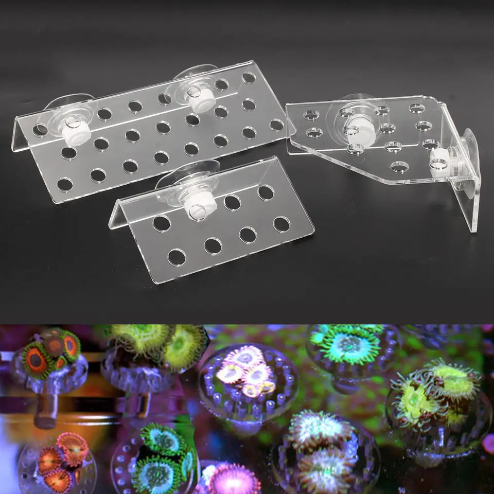 Coral Rack Acrylic Coral Frag Rack 13 Hole Coral Bracket Fish Tank Aquarium Plant Holder with Suction Cup