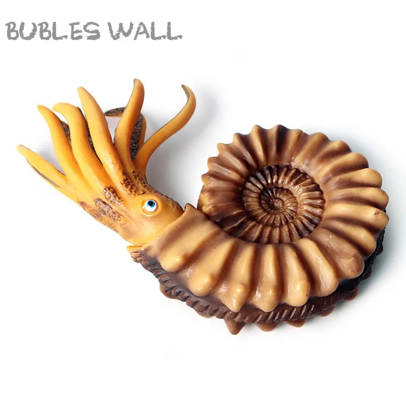 

Bubles Wall Sea Life Simulation Animal Model Nautilus toy Action & Toy Figures Learning & Educational Gift for Kids