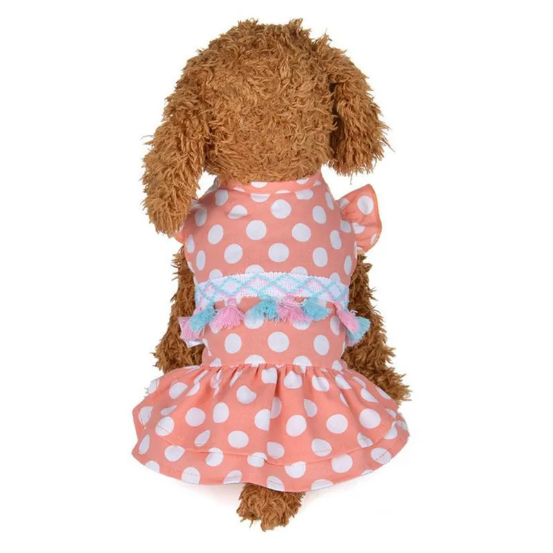 Buy dog pet dress clothes Spring And Summer Cute
