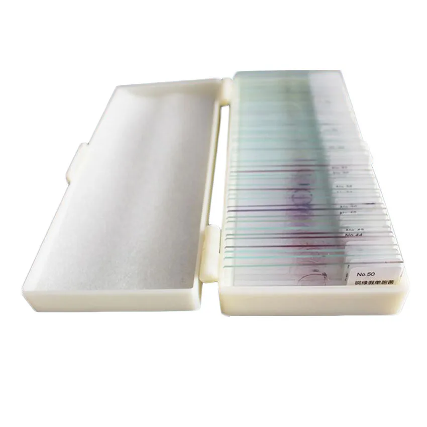 50 PCS Professional Medical Study Prepared Germs Bacterial Morphology Slice