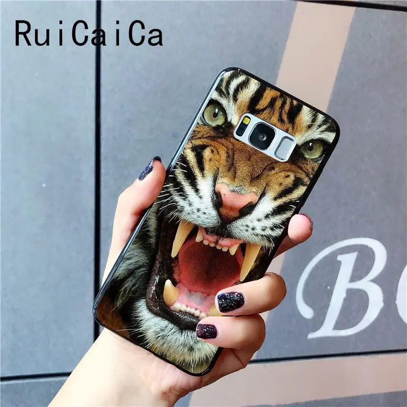 tiger fashion
