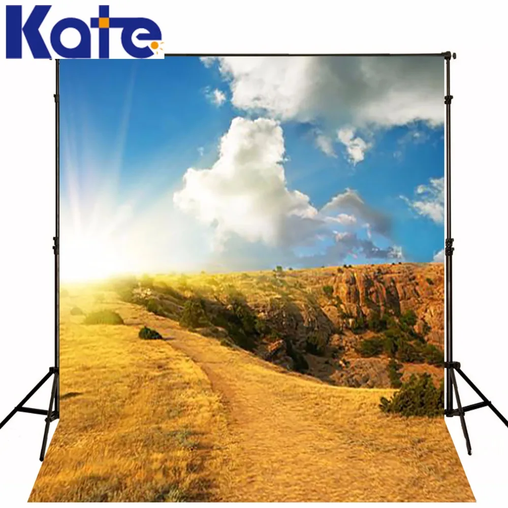 

300Cm*200Cm(About 10Ft*6.5Ft)T Background Rock Cliff Hay Photography Backdropsthick Cloth Photography Backdrop 3062 Lk