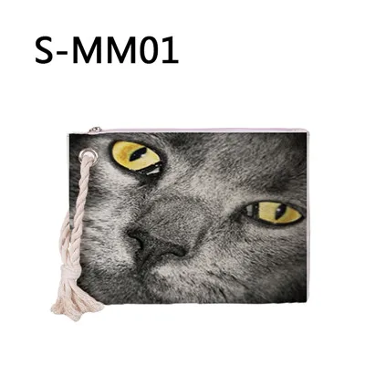 S-mm01