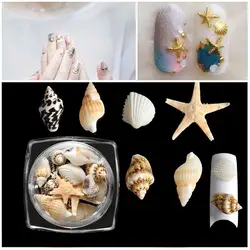 1 коробка натуральный дизайн ногтей 3D украшения мини раковины моллюсков Морская звезда пляжные украшения DIY маникюр Дизайн ногтей Декор