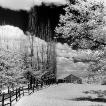 Idyllic landscape with farm and trees covered in blossom Poster Print (18 x 24)