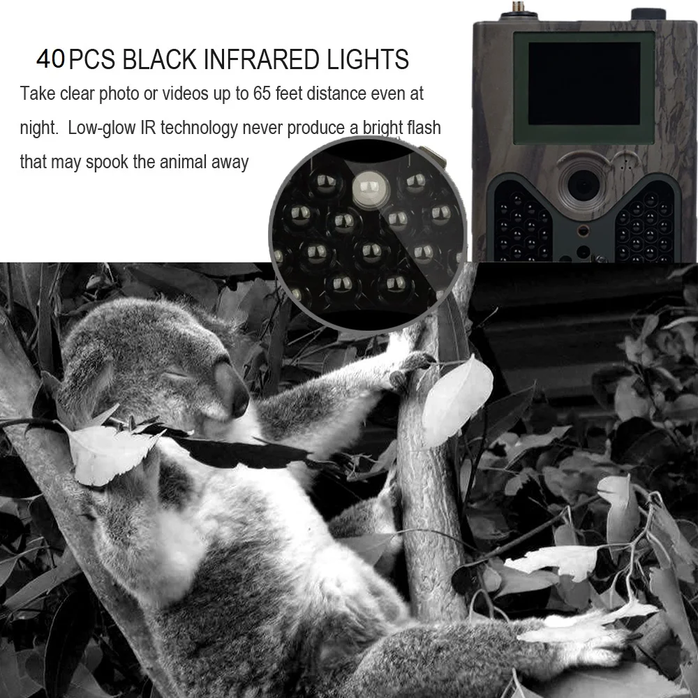 HTB1a1dGazzuK1RjSsppq6xz0XXal