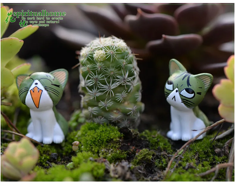 2713214497_393786582