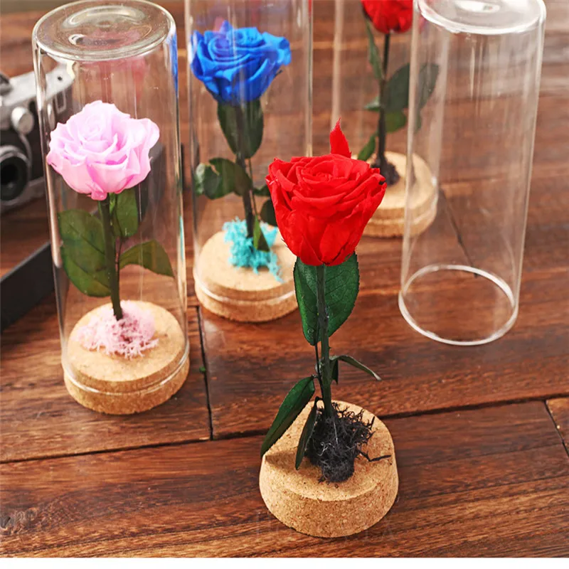 Mini Flor Fresca Preservada Viver Para Sempre Rosa Encantada Rosa Natural  Vida Eterna Rosa Na Cúpula De Vidro Capa - Flores Secas E Artificiais -  AliExpress