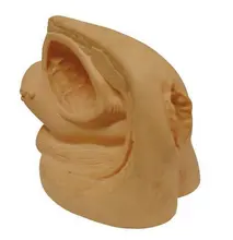 CMAM-ANATOMY30 Advanced Female Internal & External Genital Organs ,Human Anatomical Model,Education