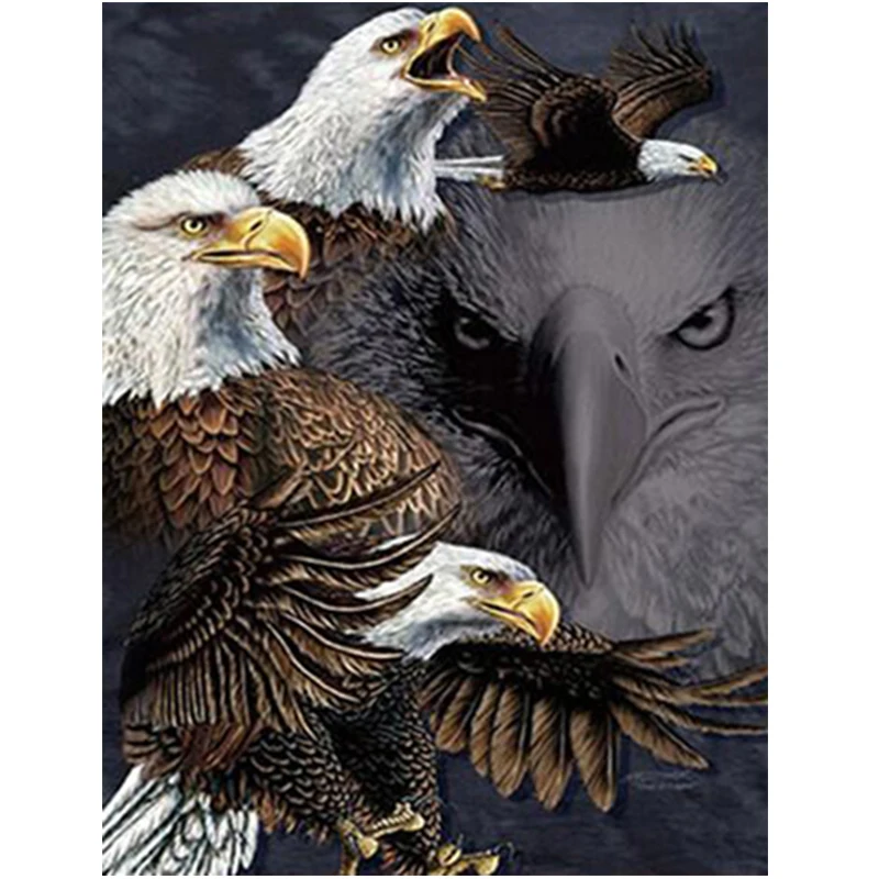 

5D DIY Diamond Painting,Special Daimond accessories,Diamond Embroidery,Animal,eagle,Full,Rhinestone,5D Diamond Mosaic,Decor