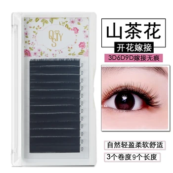 

QSTY Flowering eyelashes 12 lines 0.07 3D-6D-9D Volume False Eyelash Extension Mixed Lengths in One Strip Fancy Packing