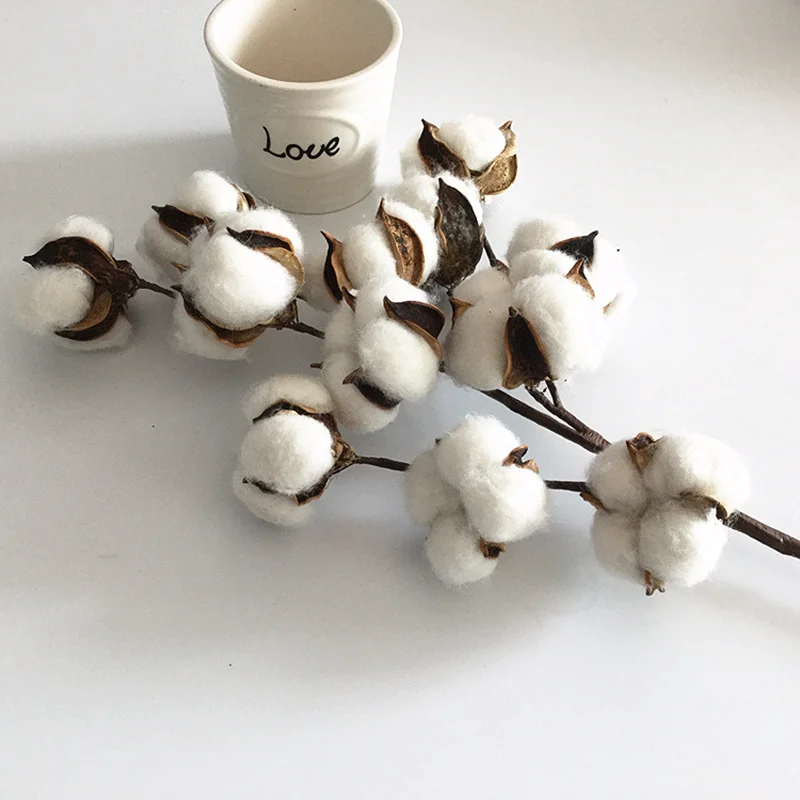 Cotton Dried Flower Plants Cotton Artificial Flowers Cotton Wedding Decor 12 Head Aliexpress