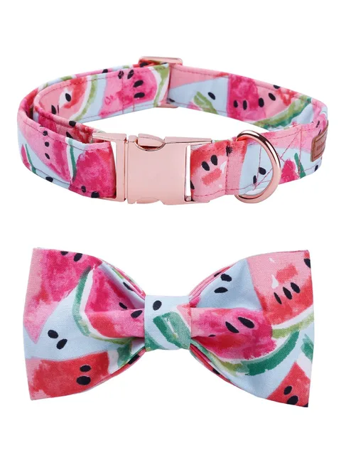 Watermelon Bow Tie