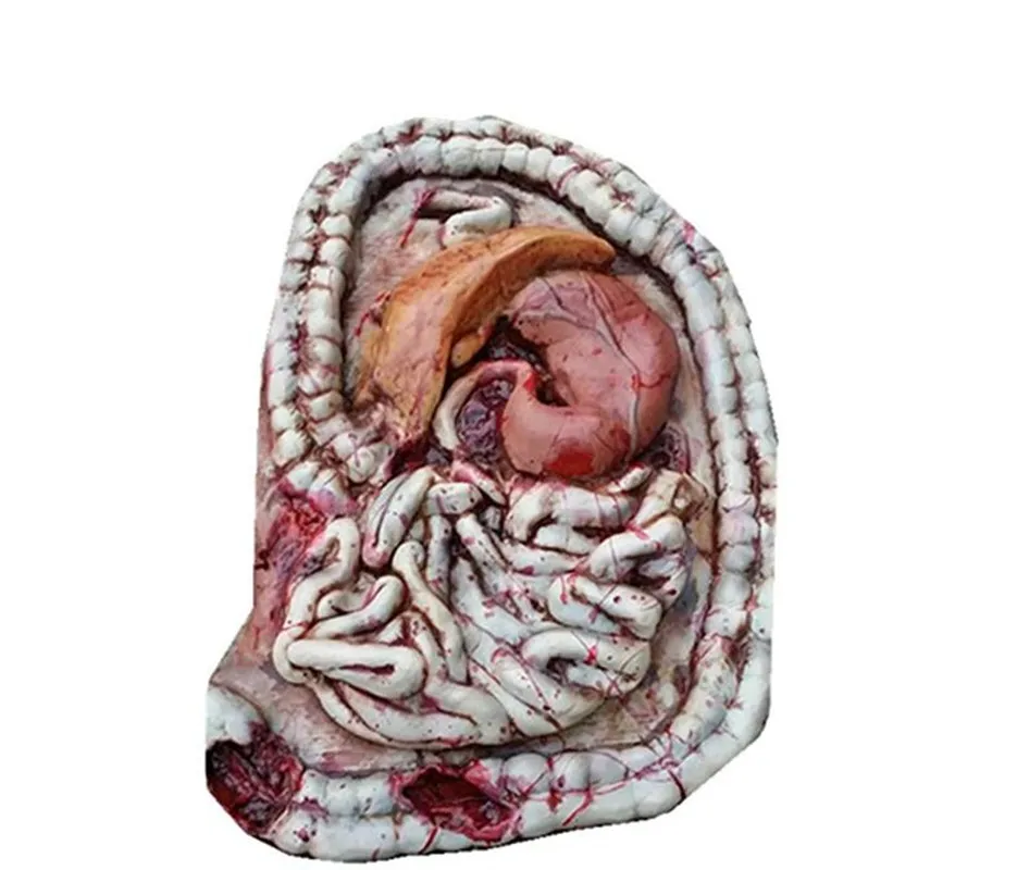

Horror Human Visceral Organs Prop Halloween Decoration Horror Props Party Accessories April Fool's Day Decor
