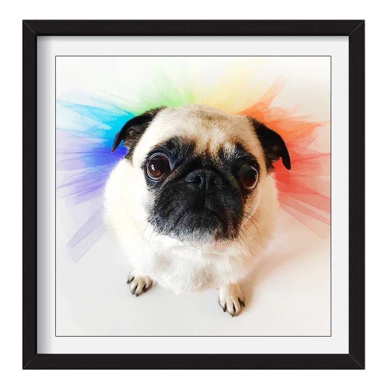 GLymg Diamond Painting Cross Stitch Pet Dog Lovely Diamond Embroidery Full Round Drill  Animal Series Room Decor Mosaic Picture