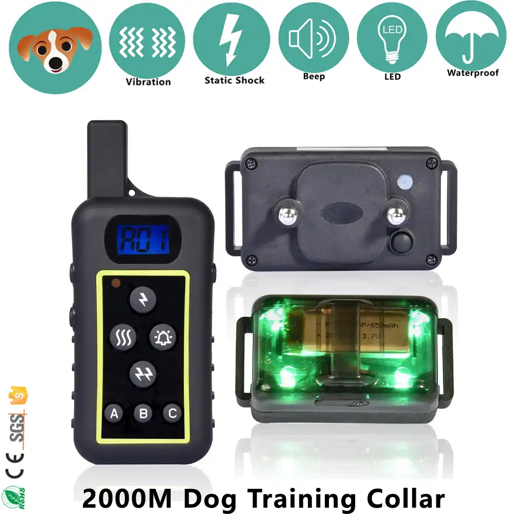 best remote dog collar