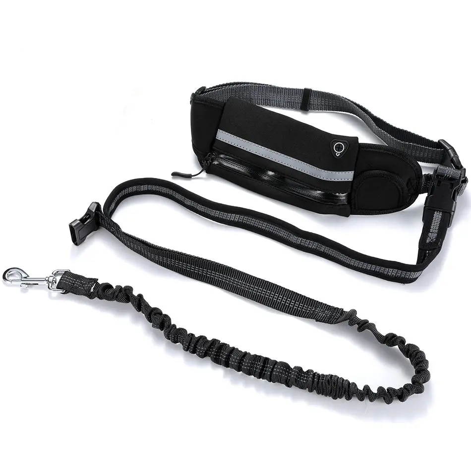 dog pet leash