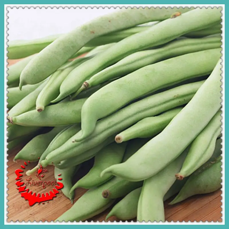 15 String Bean Seeds rich in anthocyanin and good taste C035in Bonsai