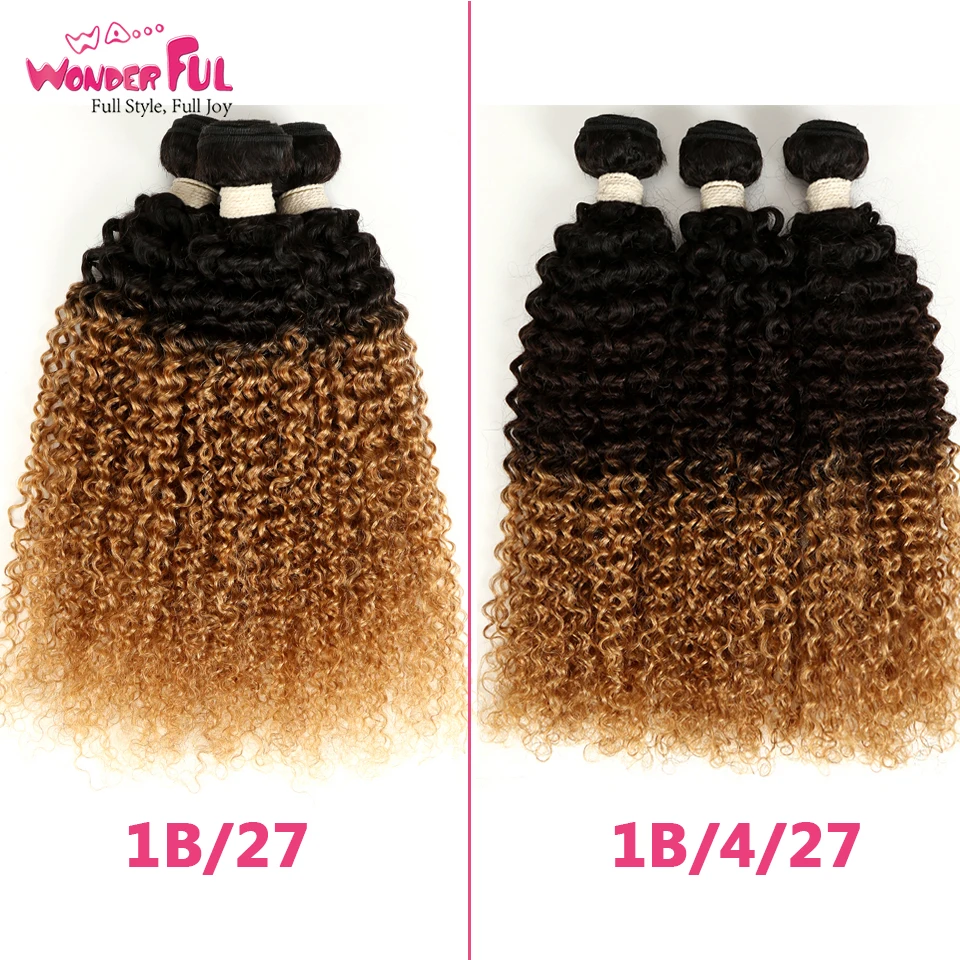 Ombre Brazilian Hair Bundles Kinky Curly Human Hair Extensions 8A Ombre Hair Bundles Natural/#1B/#4/#27/#30/99J 1/3/4 Bundles Ombre Brazilian Hair Bundles Kinky Curly Human Hair Extensions 8A Ombre Hair Bundles Natural/#1B/#4/#27/#30/99J 1/3/4 Bundles