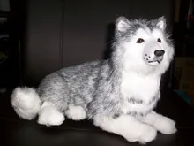 lovely plush husky toy lying simulation husky dog doll birthday gift about 30cm lovely plush husky toy lying simulation husky dog doll birthday gift about 30cm