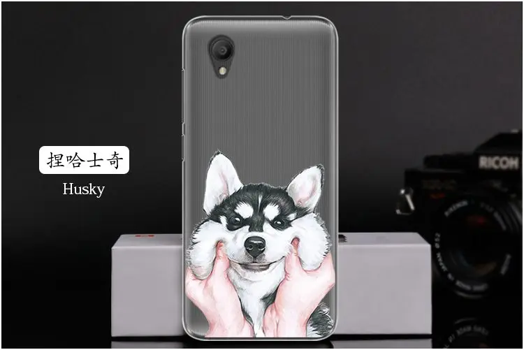  Husky