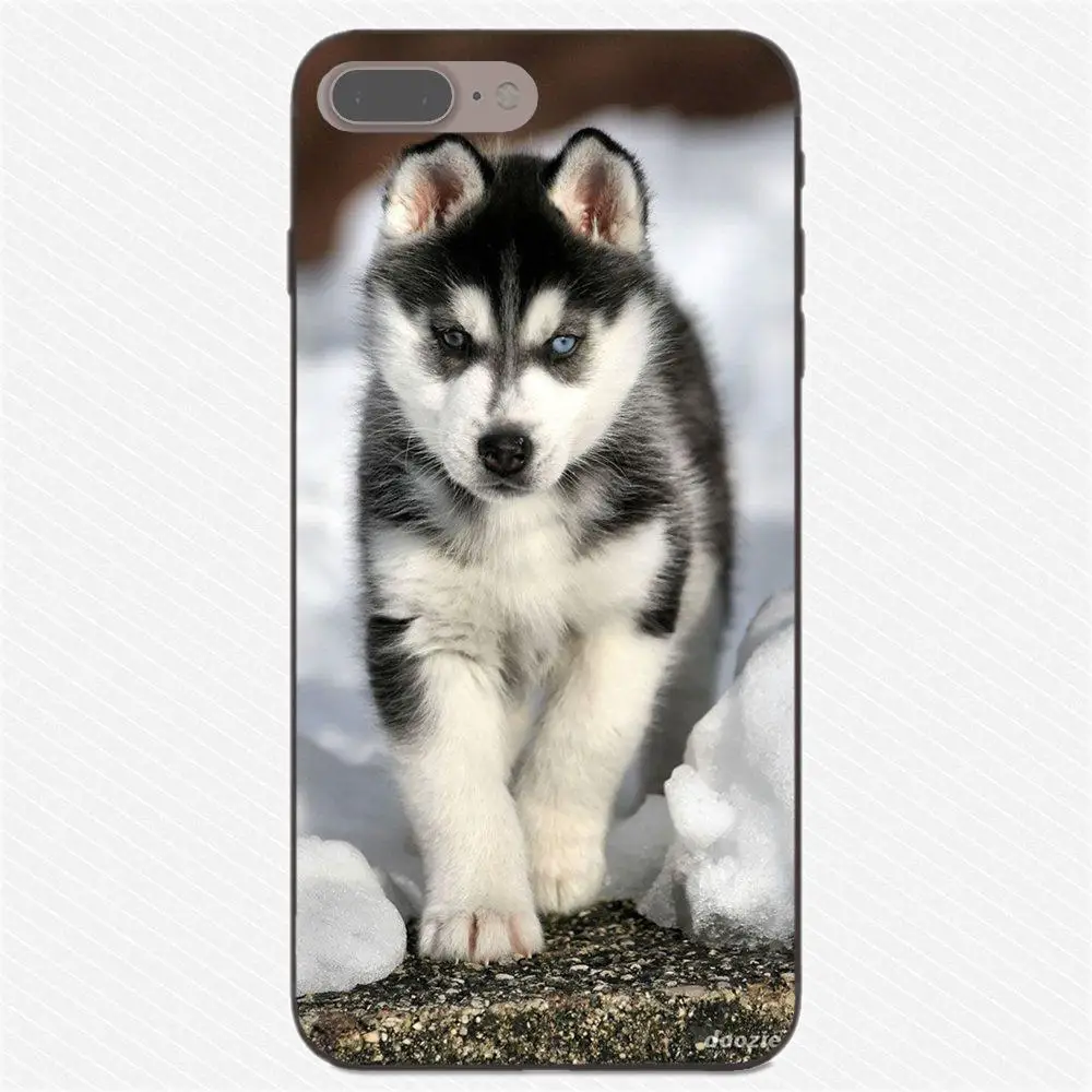 Милый Забавный милый собачий Хаски для Apple iPhone X XS Max XR 4 4S 5 5S SE 6 6S 7 8 Plus мягкий TPU