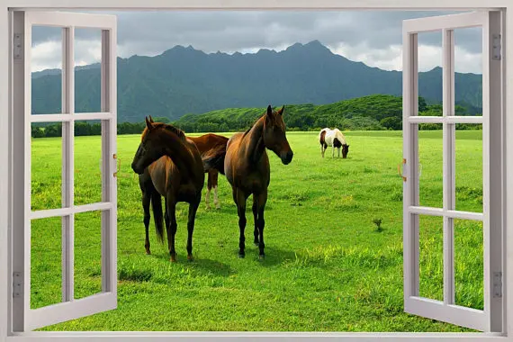 il_570xN.1376654841_h2v7