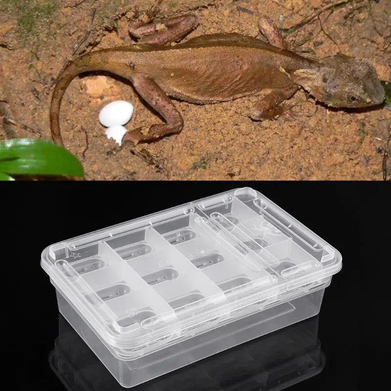 

24 Slots Reptile Egg Incubator Box Eggs Tray Gecko Chameleon Dedicated Hatcher Hatching Tool Reptile Box C42