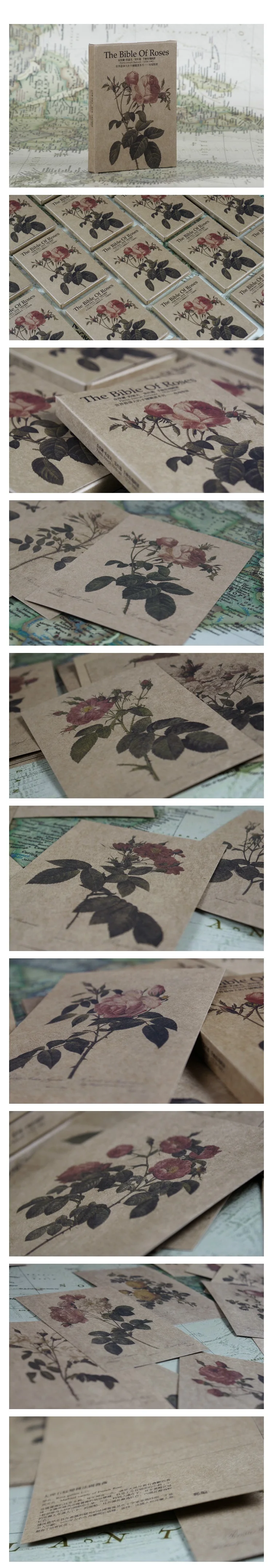 3742079170_1386474363